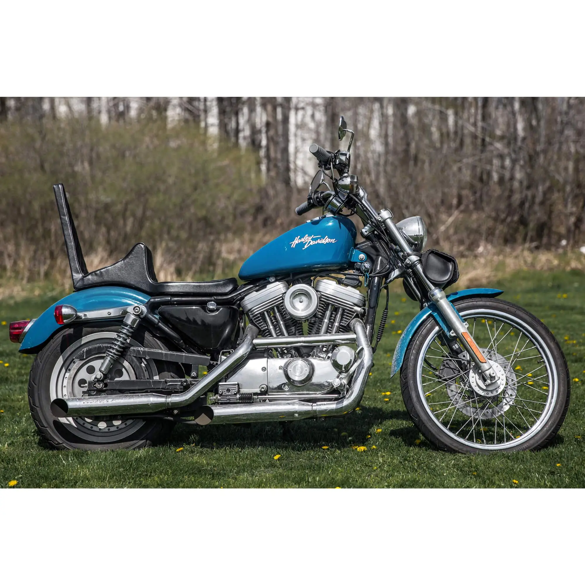 Sully's Customs Traditional King And Queen Seat - Black Diamond - 1982-2003 Sportsters - Image 9