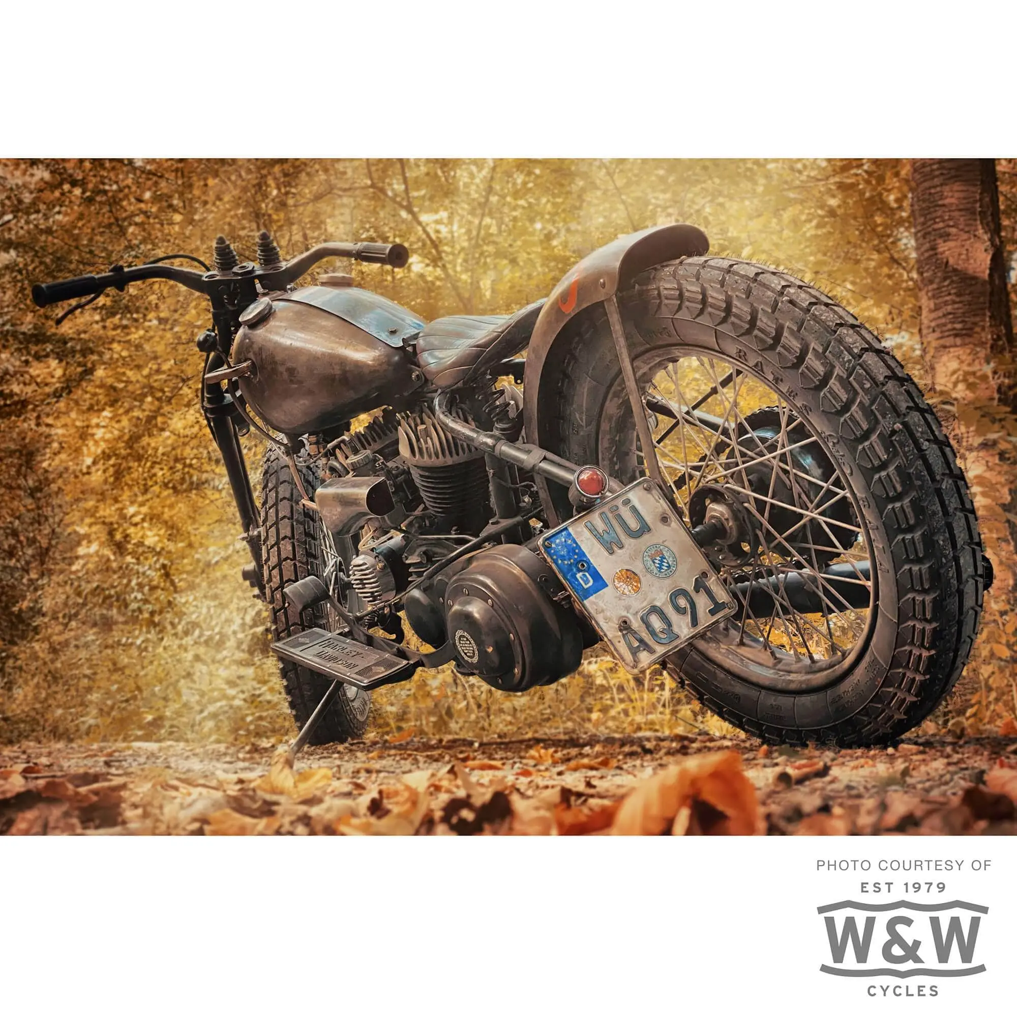 Bates Baja 100 Tire 18" - 4.00-18 64T - Image 7