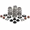 Kibblewhite Precision Machining High Performance Beehive Spring Kit - 0.610 Inch Lift - H-D Twin Cam/Sportster/Buell Models