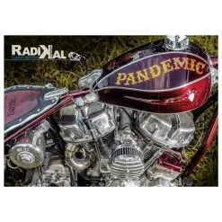 Radikal Magazine Issue #1