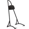 Burly Brand Tall 20" Bolt On Sissy Bar W/Pad - Black - 1996-2003 Harley-Davidson Sportster XL