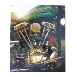 Dice Magazine Issue #72